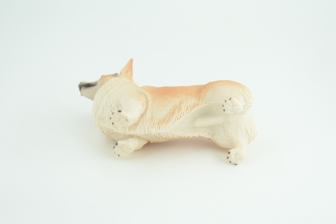 Corgi Dog, Pembroke Welsh Corgi, Museum Quality, Hand Painted, Educational, Rubber Canine, Realistic, K9, Toys, Kids, Gift,   4 1/2 Inches.  CH840 BB196
