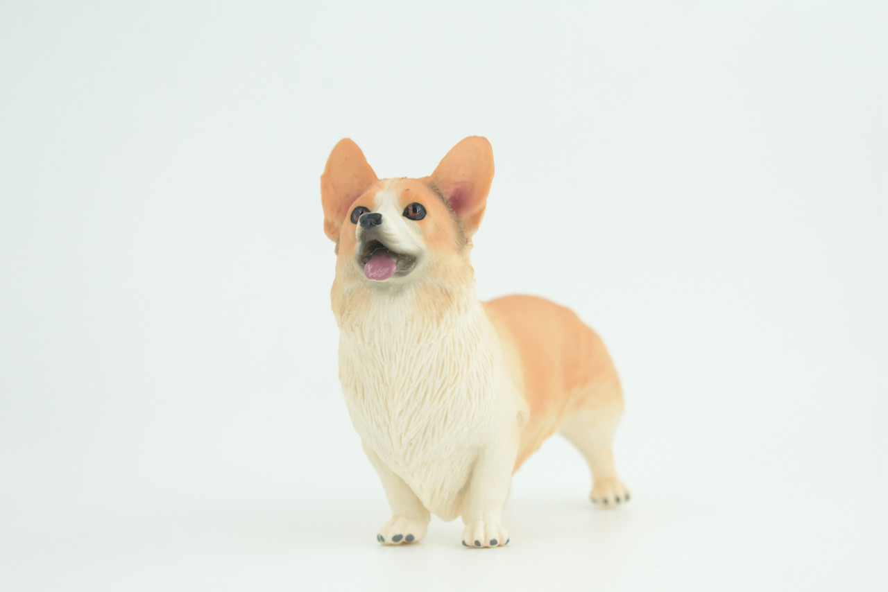 Corgi Dog, Pembroke Welsh Corgi, Museum Quality, Hand Painted, Educational, Rubber Canine, Realistic, K9, Toys, Kids, Gift,   4 1/2 Inches.  CH840 BB196