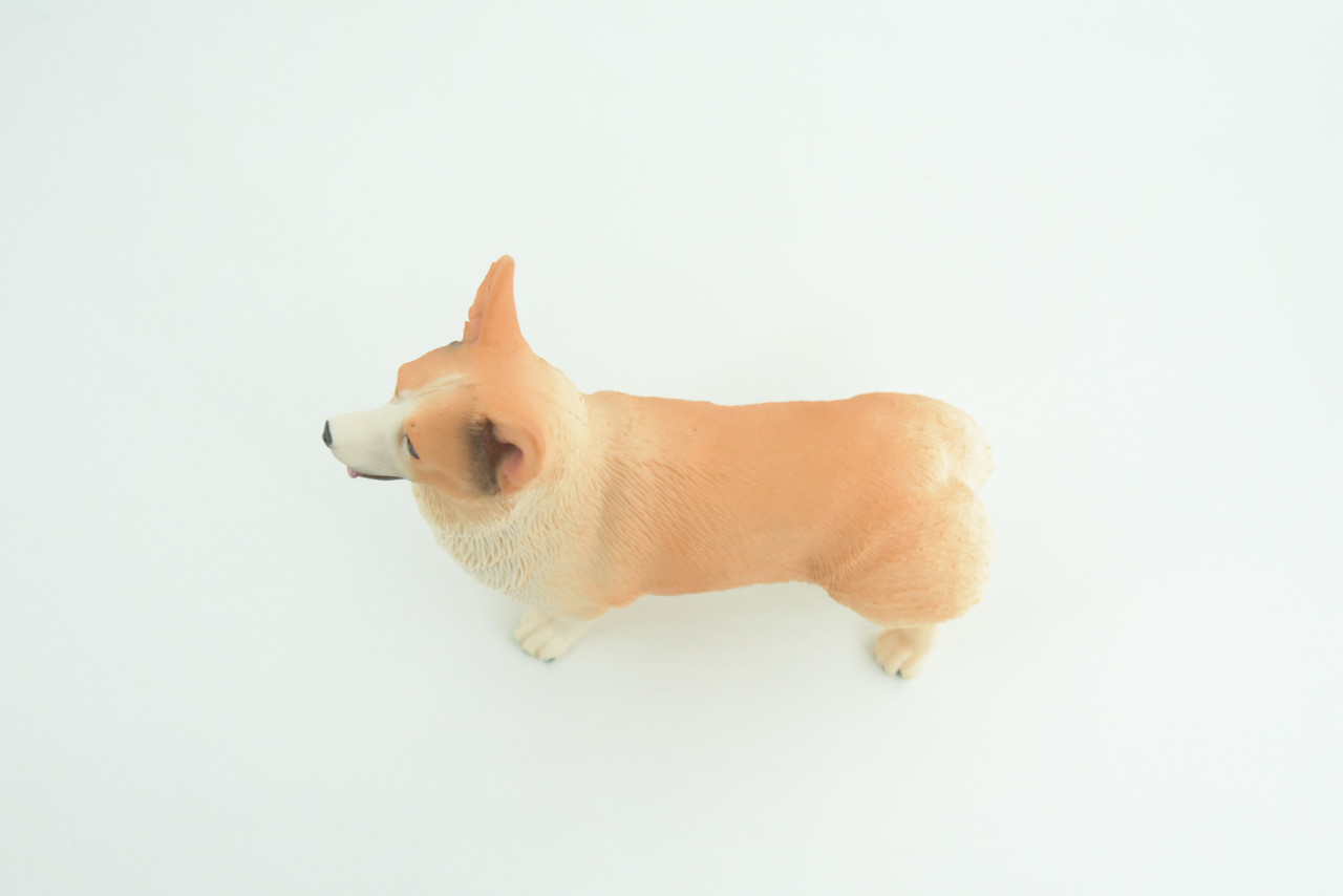 Corgi Dog, Pembroke Welsh Corgi, Museum Quality, Hand Painted, Educational, Rubber Canine, Realistic, K9, Toys, Kids, Gift,   4 1/2 Inches.  CH840 BB196
