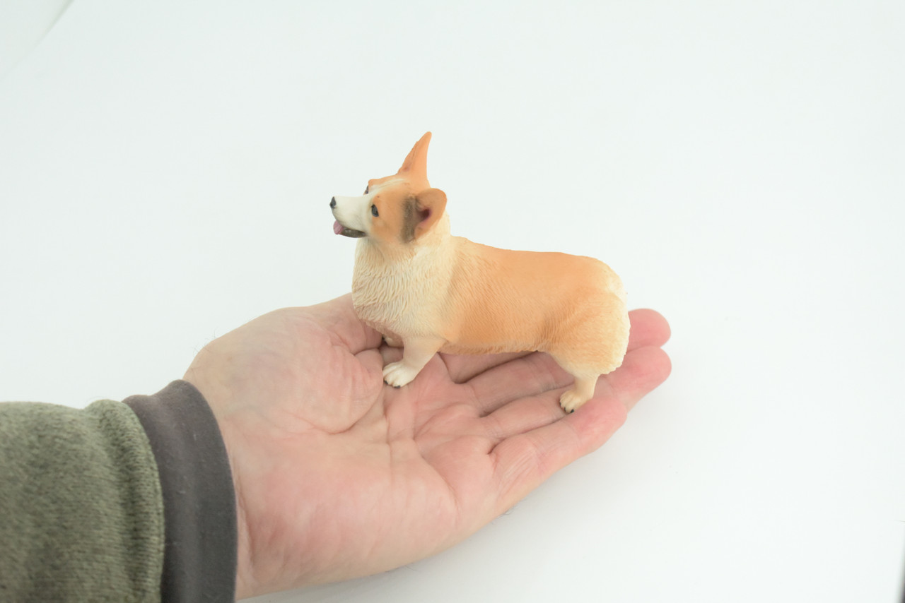 Corgi Dog, Pembroke Welsh Corgi, Museum Quality, Hand Painted, Educational, Rubber Canine, Realistic, K9, Toys, Kids, Gift, 4 1/2 Inches. CH840 BB196