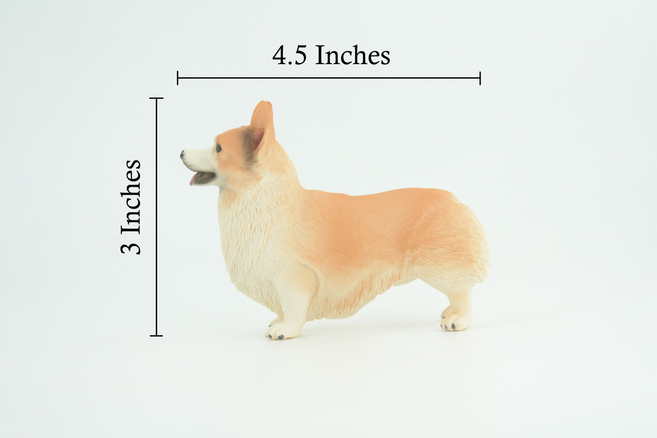 Corgi Dog, Pembroke Welsh Corgi, Museum Quality, Hand Painted, Educational, Rubber Canine, Realistic, K9, Toys, Kids, Gift, 4 1/2 Inches. CH840 BB196