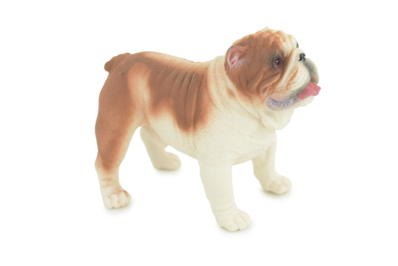 Bulldog, English Bulldog, British, Museum Quality, Rubber Canine, Hand Painted, Educational, Realistic, K9, Diorama, Figure, Toys, Kids, Gift, 5 Inches. CH844 BB197 