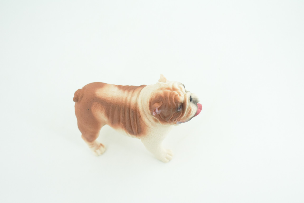 Bulldog, English Bulldog, British, Museum Quality, Rubber Canine, Hand Painted, Educational, Realistic, K9, Diorama, Figure, Toys, Kids, Gift, 5 Inches. CH844 BB197
