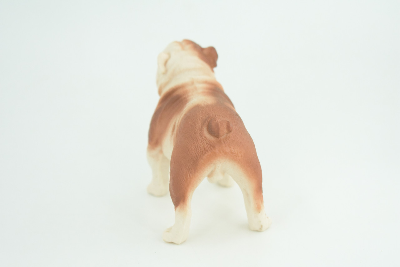 Bulldog, English Bulldog, British, Museum Quality, Rubber Canine, Hand Painted, Educational, Realistic, K9, Diorama, Figure, Toys, Kids, Gift, 5 Inches. CH844 BB197