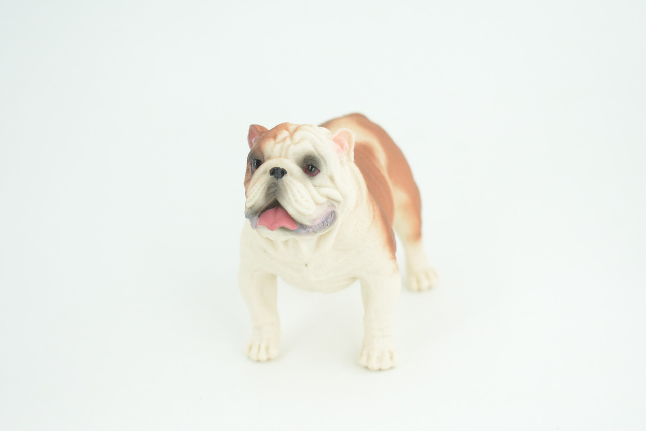 Bulldog, English Bulldog, British, Museum Quality, Rubber Canine, Hand Painted, Educational, Realistic, K9, Diorama, Figure, Toys, Kids, Gift, 5 Inches. CH844 BB197
