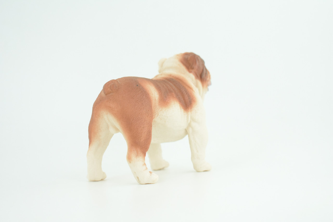 Bulldog, English Bulldog, British, Museum Quality, Rubber Canine, Hand Painted, Educational, Realistic, K9, Diorama, Figure, Toys, Kids, Gift, 5 Inches. CH844 BB197