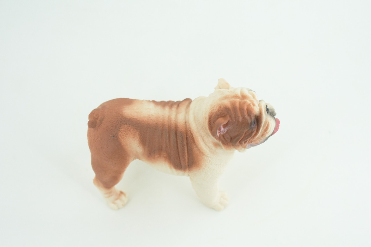 Bulldog, English Bulldog, British, Museum Quality, Rubber Canine, Hand Painted, Educational, Realistic, K9, Diorama, Figure, Toys, Kids, Gift, 5 Inches. CH844 BB197