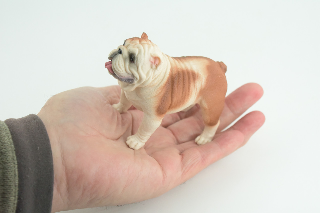 Bulldog, English Bulldog, British, Museum Quality, Rubber Canine, Hand Painted, Educational, Realistic, K9, Diorama, Figure, Toys, Kids, Gift, 5 Inches. CH844 BB197 