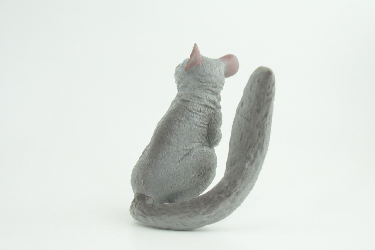 Bush Baby, Galago, Hand Painted, Museum Quality, Educational, Rubber Animal, Very Realistic Primate, Diorama, Toy, Kids, Gift,  4 Inches.  CH847 BB197  