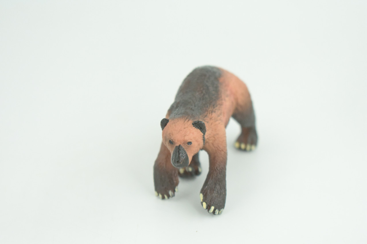 Wolverine, Hand Painted, Museum Quality, Educational, Rubber Animal, Skunk bear, Very Realistic, Diorama, Toy, Kids, Gift,  4 Inches.  CH848 BB197  