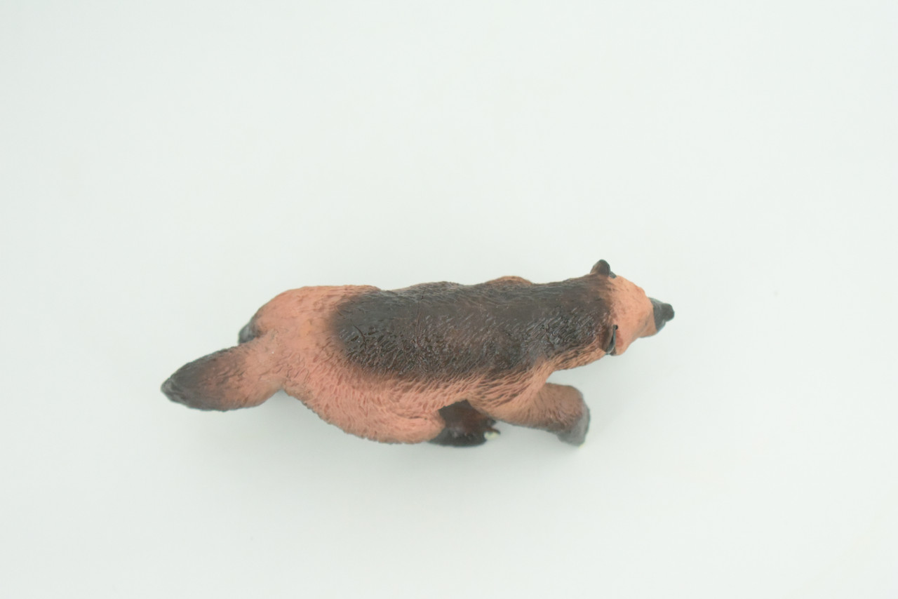 Wolverine, Hand Painted, Museum Quality, Educational, Rubber Animal, Skunk bear, Very Realistic, Diorama, Toy, Kids, Gift,  4 Inches.  CH848 BB197  