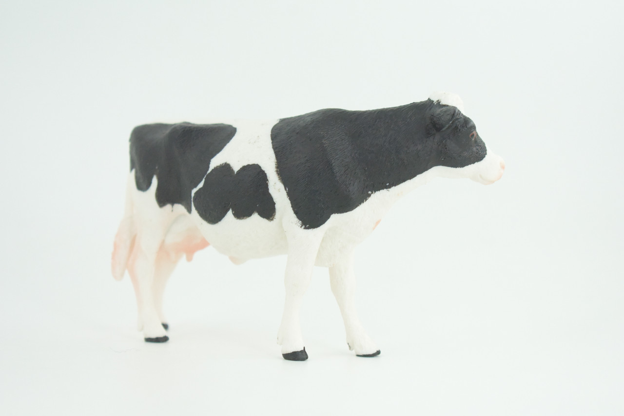 Holstein Dairy Cow, Educational, Hand Painted, Museum Quality, Realistic, Rubber Animal, Realistic, Diorama, Toy, Kids, Gift,  5 Inches.  CH849 BB197 