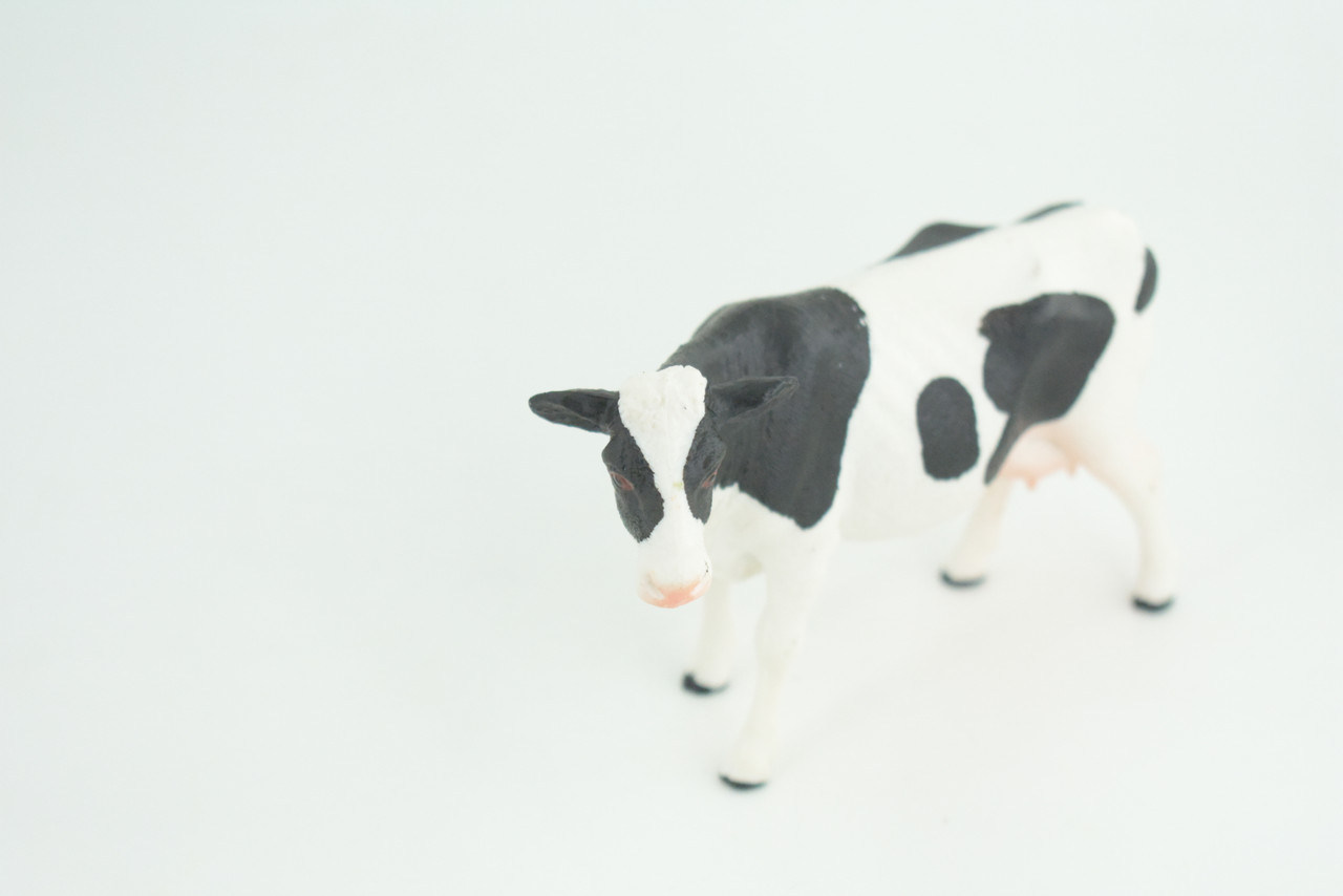 Holstein Dairy Cow, Educational, Hand Painted, Museum Quality, Realistic, Rubber Animal, Realistic, Diorama, Toy, Kids, Gift,  5 Inches.  CH849 BB197 