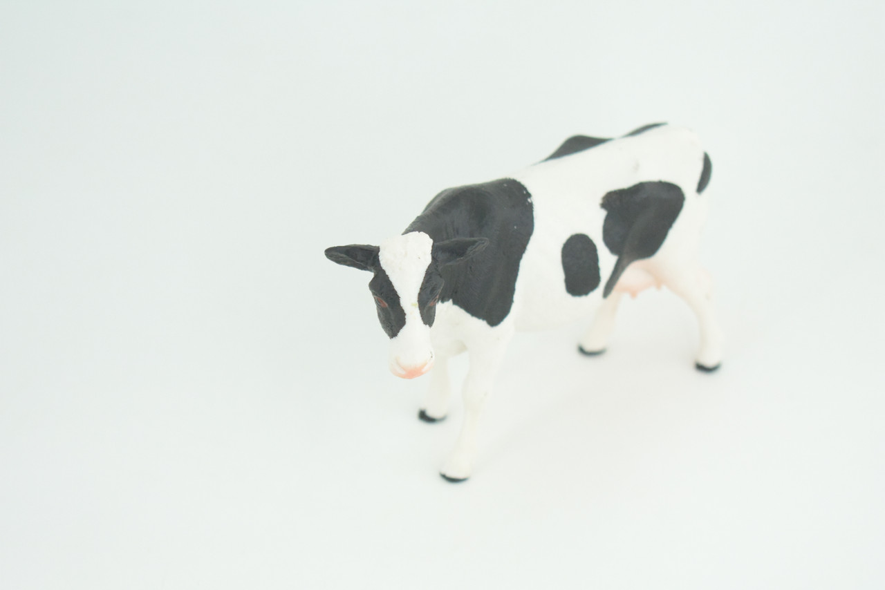 Holstein Dairy Cow, Educational, Hand Painted, Museum Quality, Realistic, Rubber Animal, Realistic, Diorama, Toy, Kids, Gift,  5 Inches.  CH849 BB197 