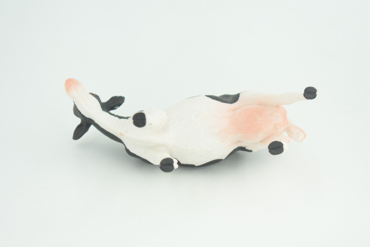 Holstein Dairy Cow, Educational, Hand Painted, Museum Quality, Realistic, Rubber Animal, Realistic, Diorama, Toy, Kids, Gift,  5 Inches.  CH849 BB197 