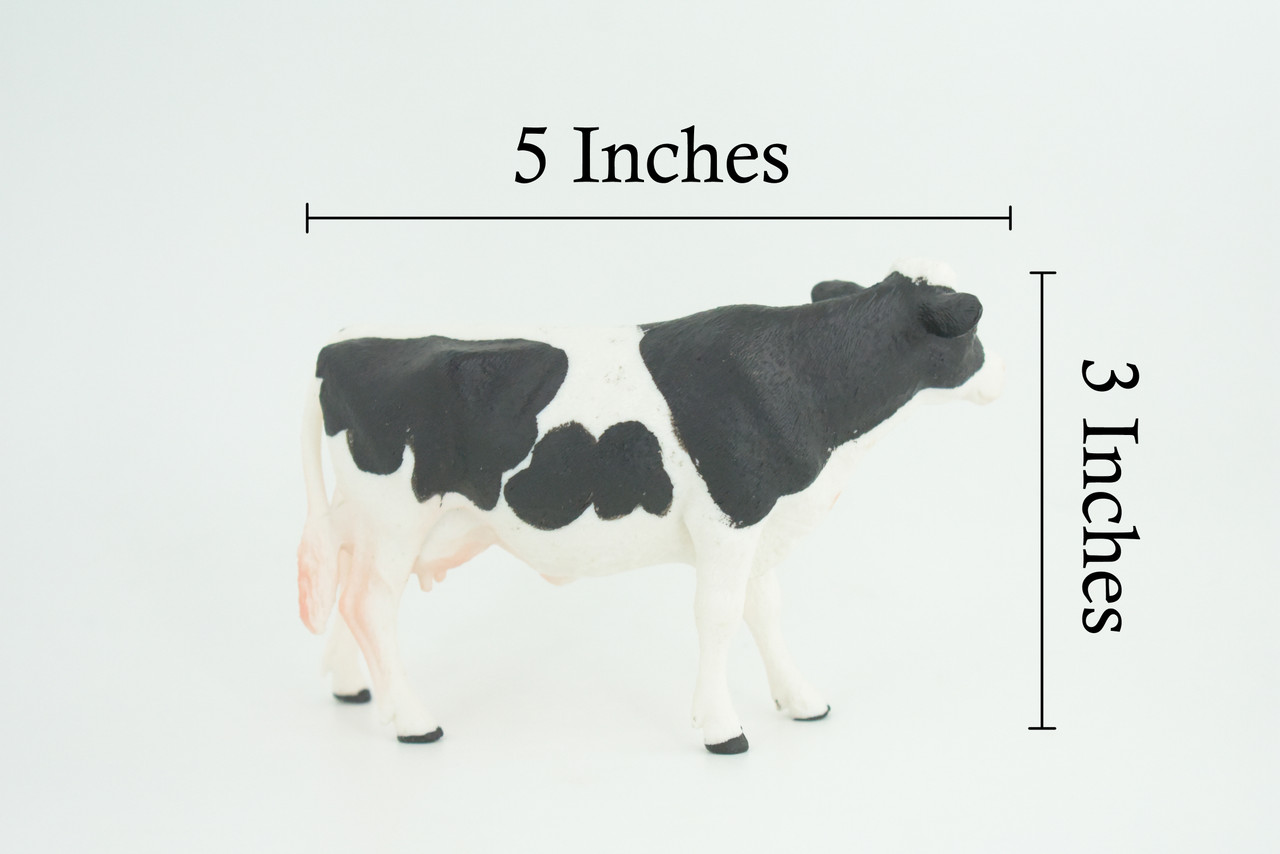 Holstein Dairy Cow, Educational, Hand Painted, Museum Quality, Realistic, Rubber Animal, Realistic, Diorama, Toy, Kids, Gift, 5 Inches. CH849 BB197