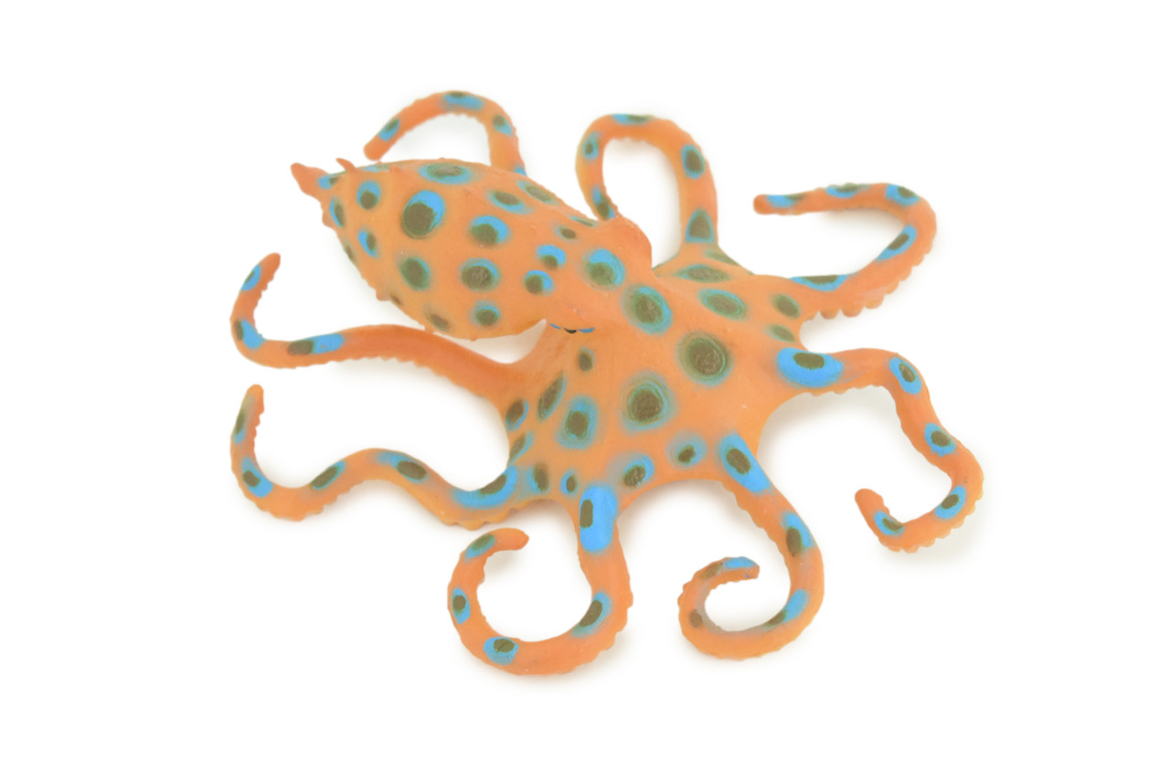 Blue Ringed Octopus, Educational, Hand Painted, Museum Quality, Realistic, Rubber Animal, Realistic, Diorama, Toy, Kids, Gift, 4 1/2 Inches. CH850 BB197