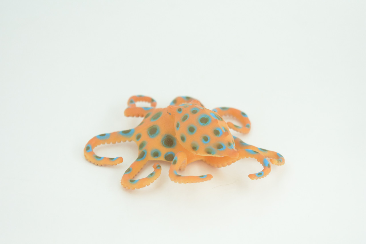 Blue Ringed Octopus, Educational, Hand Painted, Museum Quality, Realistic, Rubber Animal, Realistic, Diorama, Toy, Kids, Gift,  4 1/2 Inches.  CH850 BB197 