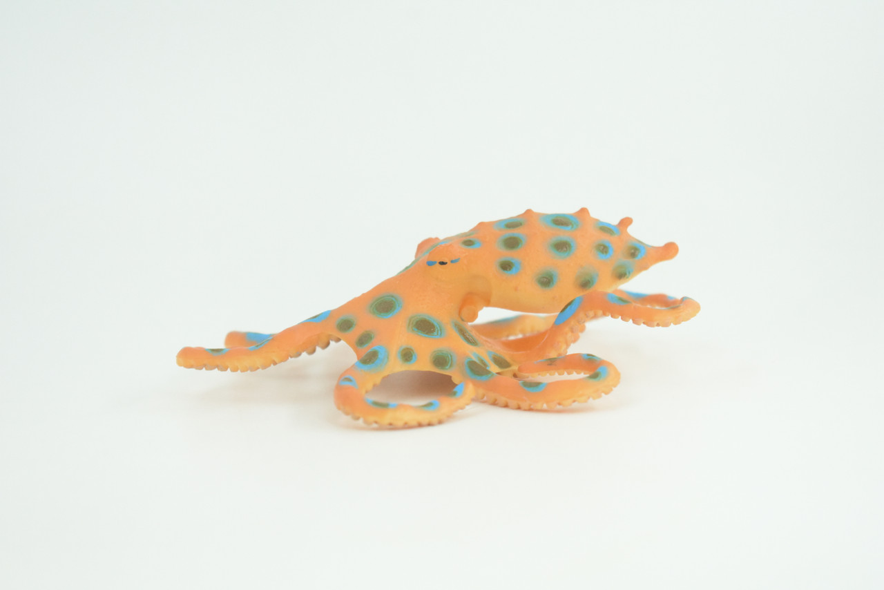 Blue Ringed Octopus, Educational, Hand Painted, Museum Quality, Realistic, Rubber Animal, Realistic, Diorama, Toy, Kids, Gift,  4 1/2 Inches.  CH850 BB197 
