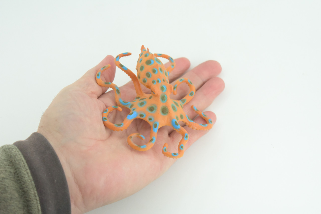 Blue Ringed Octopus, Educational, Hand Painted, Museum Quality, Realistic, Rubber Animal, Realistic, Diorama, Toy, Kids, Gift, 4 1/2 Inches. CH850 BB197