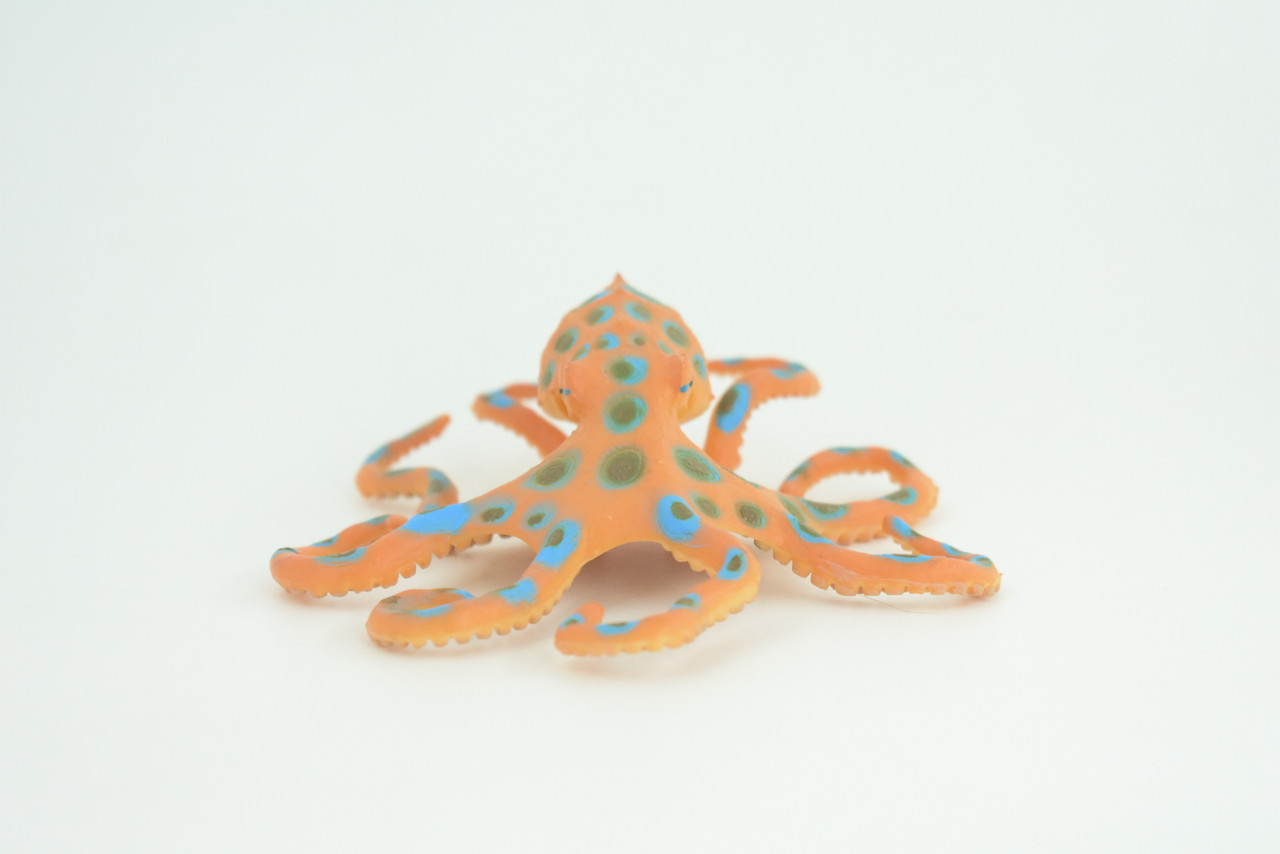 Blue Ringed Octopus, Educational, Hand Painted, Museum Quality, Realistic, Rubber Animal, Realistic, Diorama, Toy, Kids, Gift,  4 1/2 Inches.  CH850 BB197 