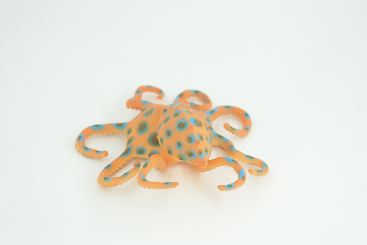 Blue Ringed Octopus, Educational, Hand Painted, Museum Quality, Realistic, Rubber Animal, Realistic, Diorama, Toy, Kids, Gift,  4 1/2 Inches.  CH850 BB197 