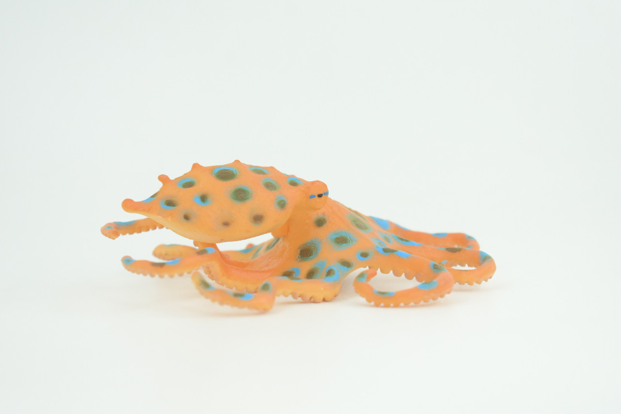 Blue Ringed Octopus, Educational, Hand Painted, Museum Quality, Realistic, Rubber Animal, Realistic, Diorama, Toy, Kids, Gift,  4 1/2 Inches.  CH850 BB197 