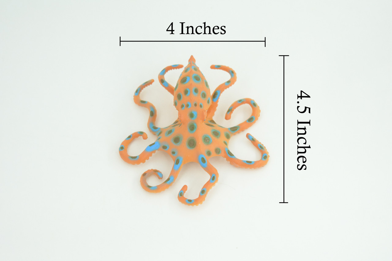 Blue Ringed Octopus, Educational, Hand Painted, Museum Quality, Realistic, Rubber Animal, Realistic, Diorama, Toy, Kids, Gift, 4 1/2 Inches. CH850 BB197