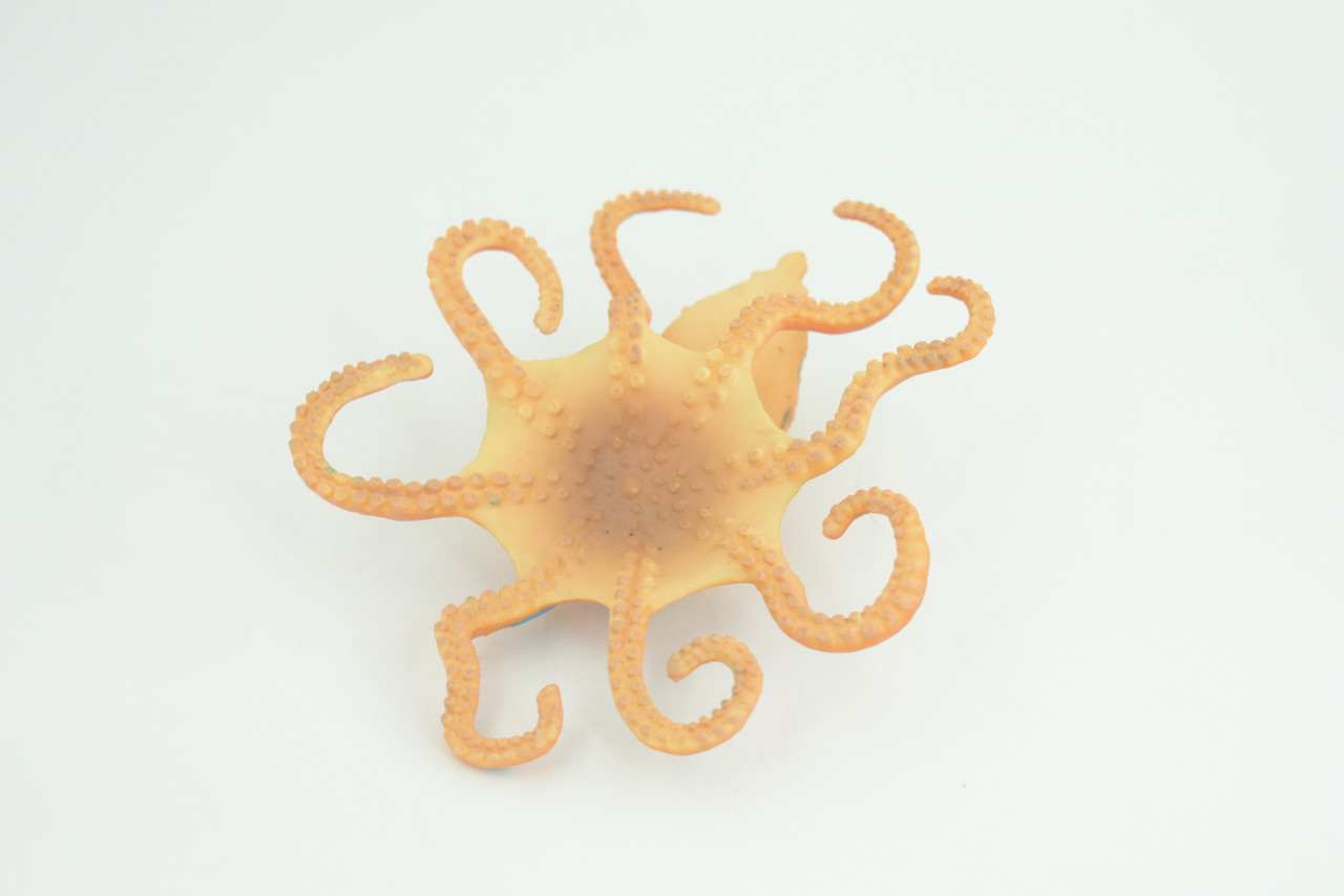 Blue Ringed Octopus, Educational, Hand Painted, Museum Quality, Realistic, Rubber Animal, Realistic, Diorama, Toy, Kids, Gift,  4 1/2 Inches.  CH850 BB197 