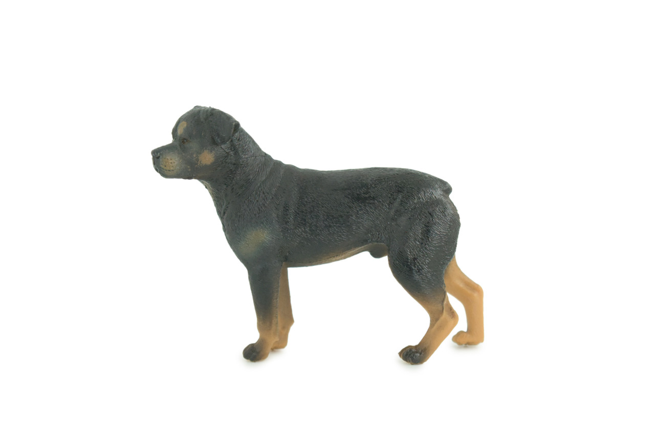 Rottweiler Dog, Educational, Museum Quality, Rubber Canine, Hand Painted, Educational, Realistic, K9, Diorama, Figure, Toys, Kids, Gift, 3 1/2 Inches. CH852 BB198