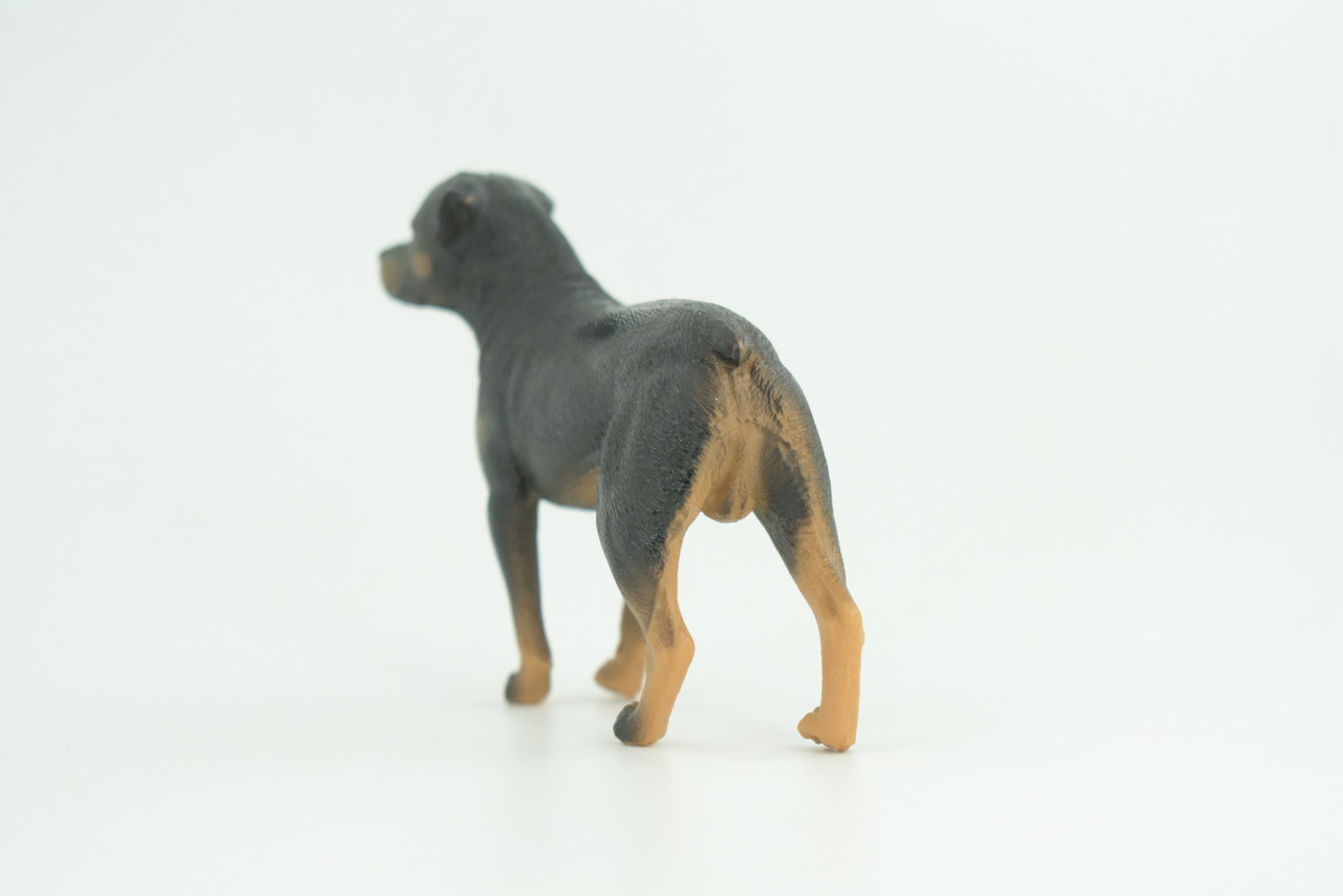Rottweiler Dog, Educational, Museum Quality, Rubber Canine, Hand Painted, Educational, Realistic, K9, Diorama, Figure, Toys, Kids, Gift,  3 1/2  Inches. CH852 BB198