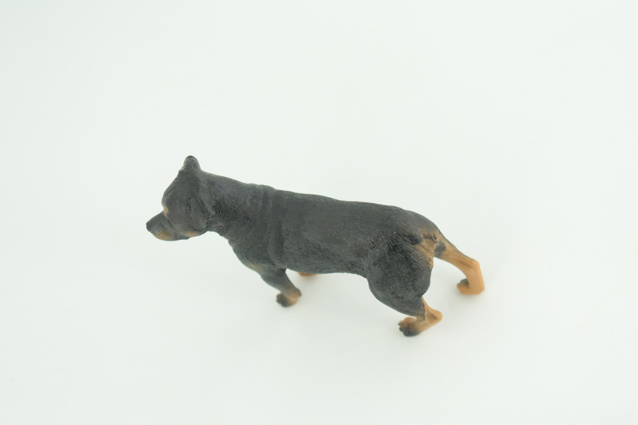 Rottweiler Dog, Educational, Museum Quality, Rubber Canine, Hand Painted, Educational, Realistic, K9, Diorama, Figure, Toys, Kids, Gift,  3 1/2  Inches. CH852 BB198