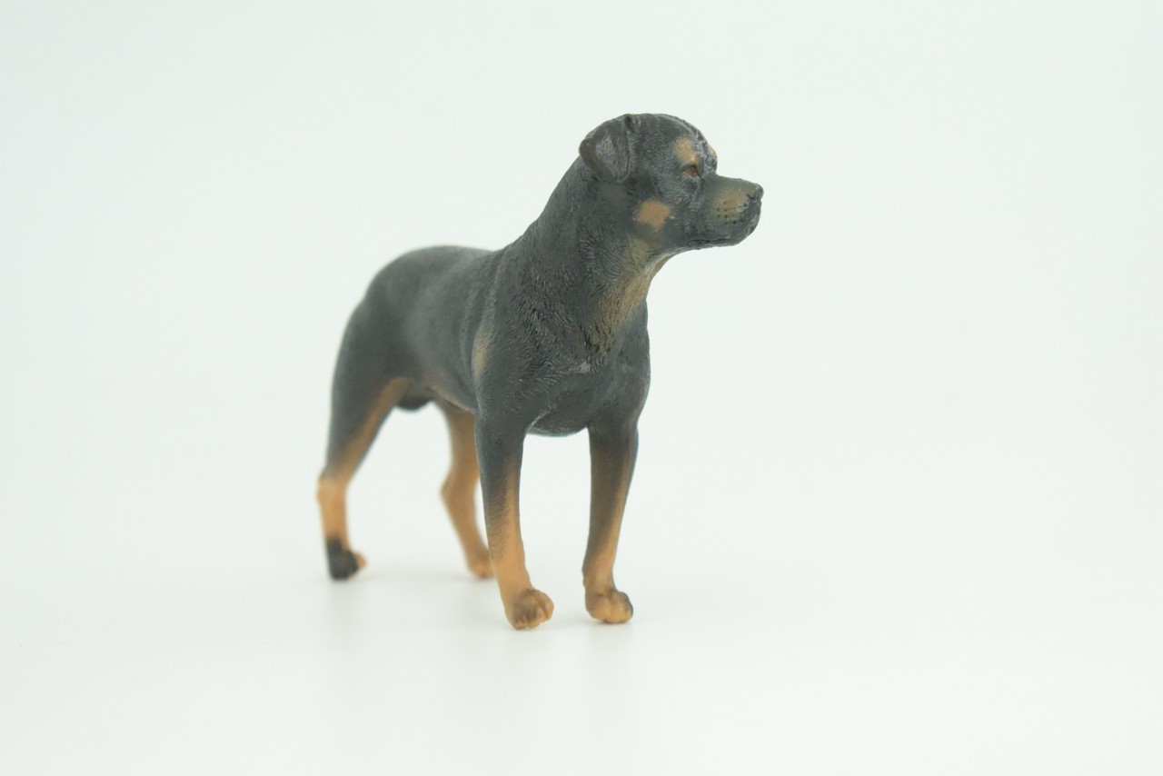 Rottweiler Dog, Educational, Museum Quality, Rubber Canine, Hand Painted, Educational, Realistic, K9, Diorama, Figure, Toys, Kids, Gift,  3 1/2  Inches. CH852 BB198