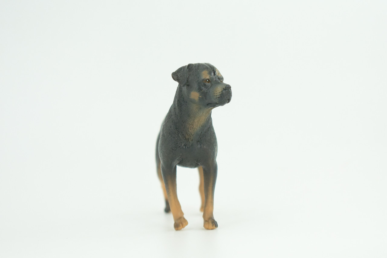 Rottweiler Dog, Educational, Museum Quality, Rubber Canine, Hand Painted, Educational, Realistic, K9, Diorama, Figure, Toys, Kids, Gift,  3 1/2  Inches. CH852 BB198