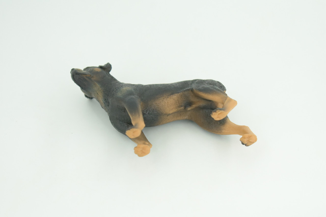 Rottweiler Dog, Educational, Museum Quality, Rubber Canine, Hand Painted, Educational, Realistic, K9, Diorama, Figure, Toys, Kids, Gift,  3 1/2  Inches. CH852 BB198