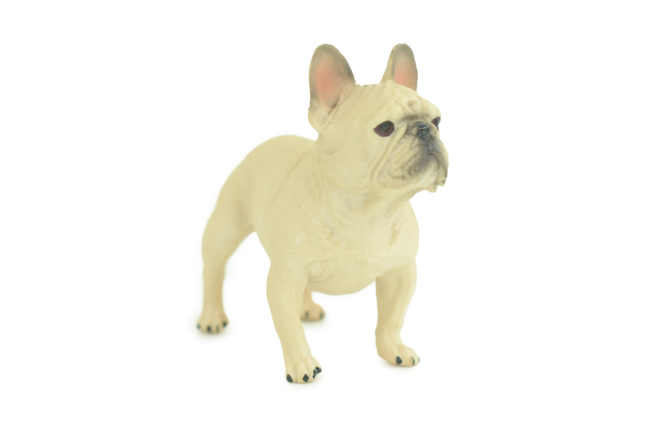 French Bulldog, Frenchie, Hand Painted, Educational, Museum Quality, Rubber Canine, K9, Realistic, Diorama, Figure, Toys, Kids, Gift, 3 Inches. CH853 BB198