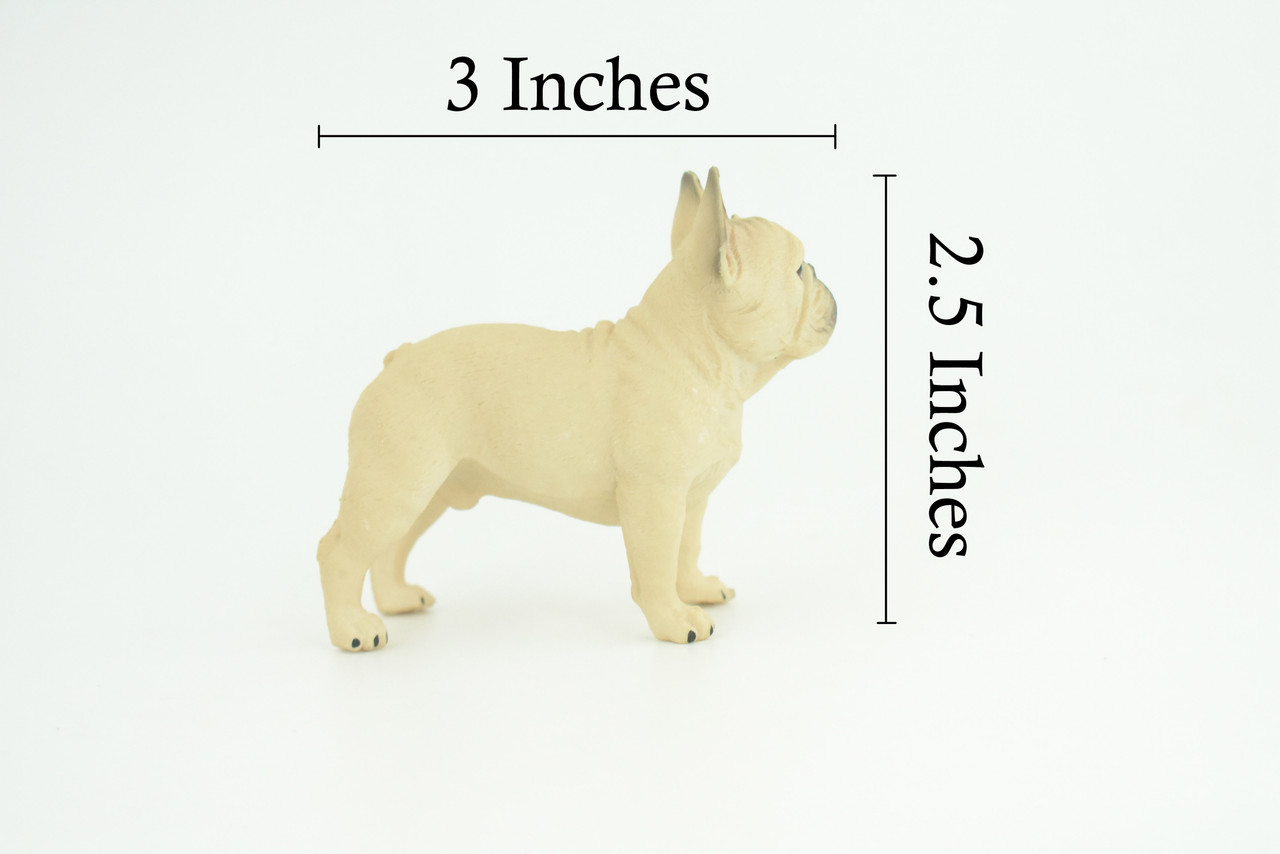 French Bulldog, Frenchie, Hand Painted, Educational, Museum Quality, Rubber Canine, K9, Realistic, Diorama, Figure, Toys, Kids, Gift, 3 Inches. CH853 BB198