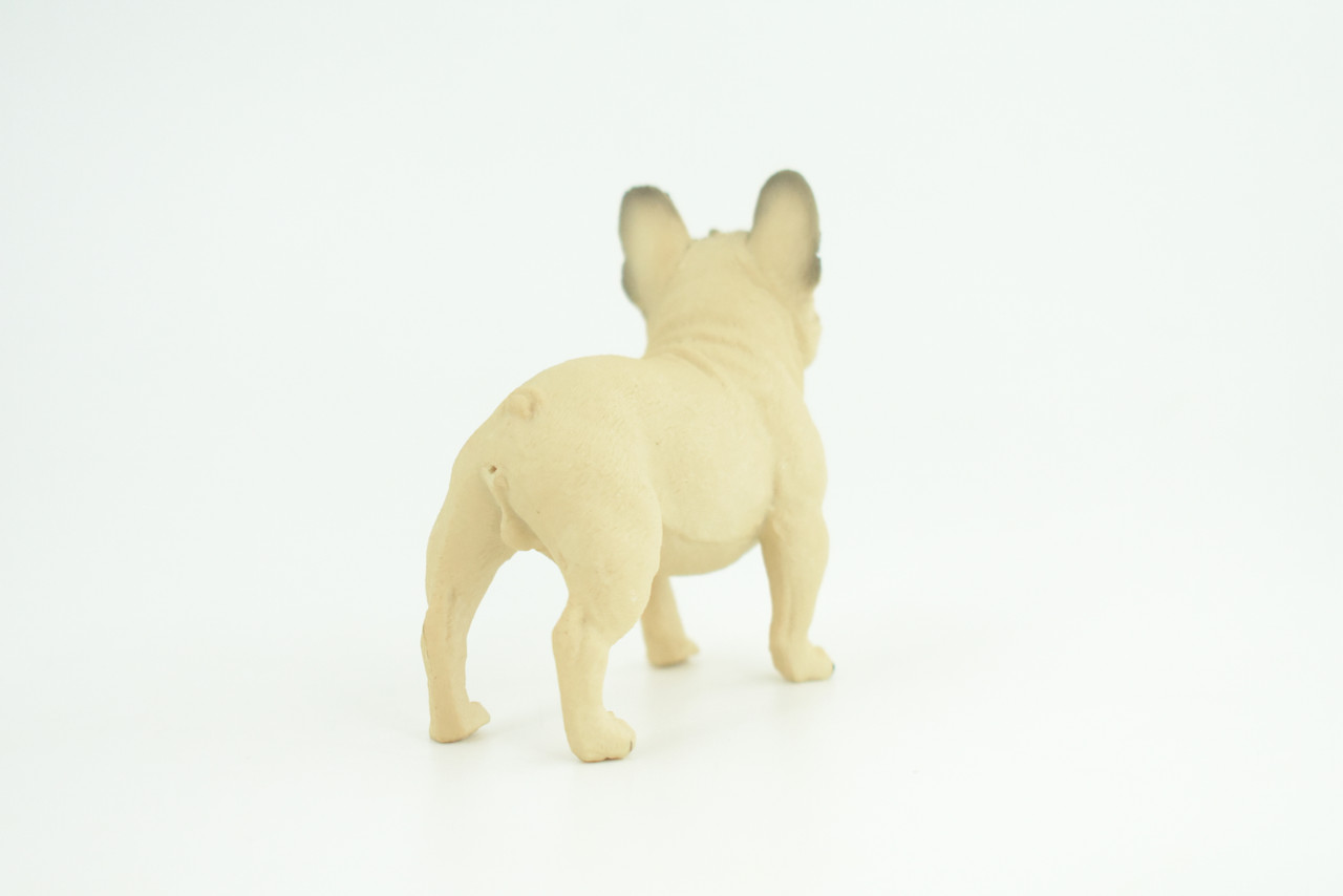 French Bulldog, Frenchie, Hand Painted, Educational, Museum Quality, Rubber Canine, K9, Realistic,  Diorama, Figure, Toys, Kids, Gift,  3   Inches. CH853 BB198