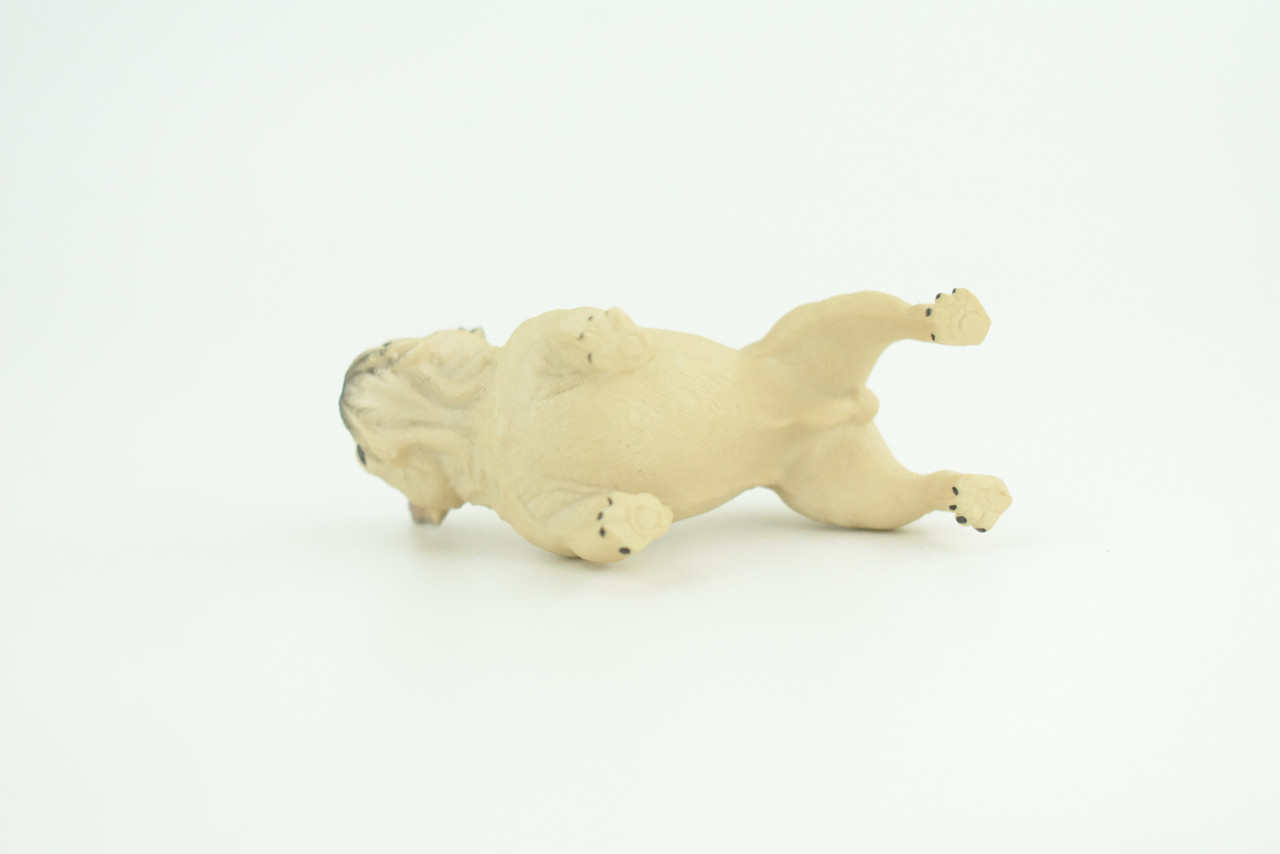 French Bulldog, Frenchie, Hand Painted, Educational, Museum Quality, Rubber Canine, K9, Realistic,  Diorama, Figure, Toys, Kids, Gift,  3   Inches. CH853 BB198