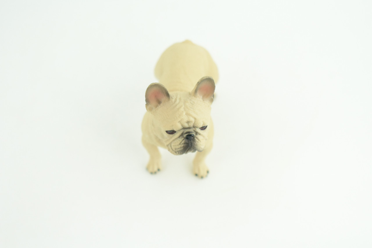 French Bulldog, Frenchie, Hand Painted, Educational, Museum Quality, Rubber Canine, K9, Realistic,  Diorama, Figure, Toys, Kids, Gift,  3   Inches. CH853 BB198