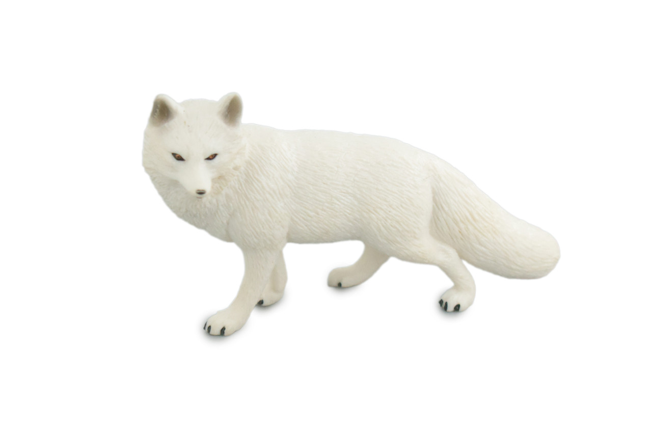 Arctic White Fox, Snow Fox, Hand Painted, Museum Quality, Educational, Rubber Animal, Very Realistic Fox, Diorama, Toy, Kids, Gift,   5 Inches.  CH855 BB198  
