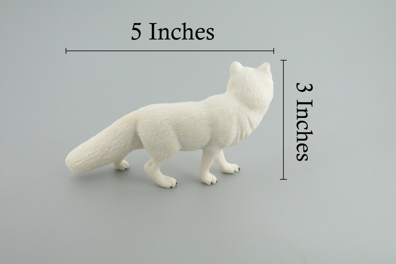 Arctic White Fox, Snow Fox, Hand Painted, Museum Quality, Educational, Rubber Animal, Very Realistic Fox, Diorama, Toy, Kids, Gift,   5 Inches.  CH855 BB198  