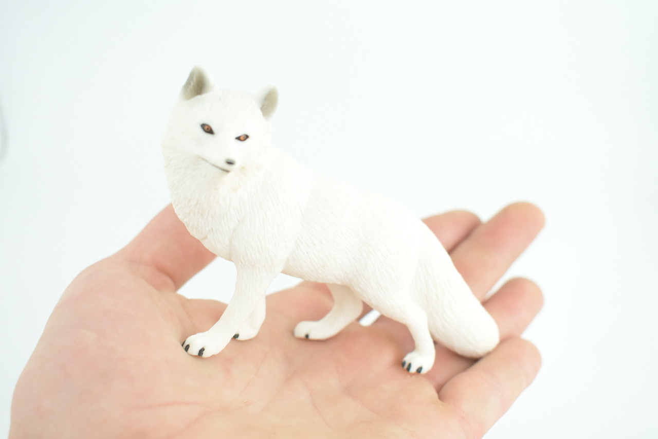 Arctic White Fox, Snow Fox, Hand Painted, Museum Quality, Educational, Rubber Animal, Very Realistic Fox, Diorama, Toy, Kids, Gift,   5 Inches.  CH855 BB198  