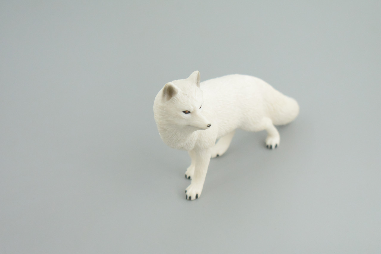 Arctic White Fox, Snow Fox, Hand Painted, Museum Quality, Educational, Rubber Animal, Very Realistic Fox, Diorama, Toy, Kids, Gift,   5 Inches.  CH855 BB198  
