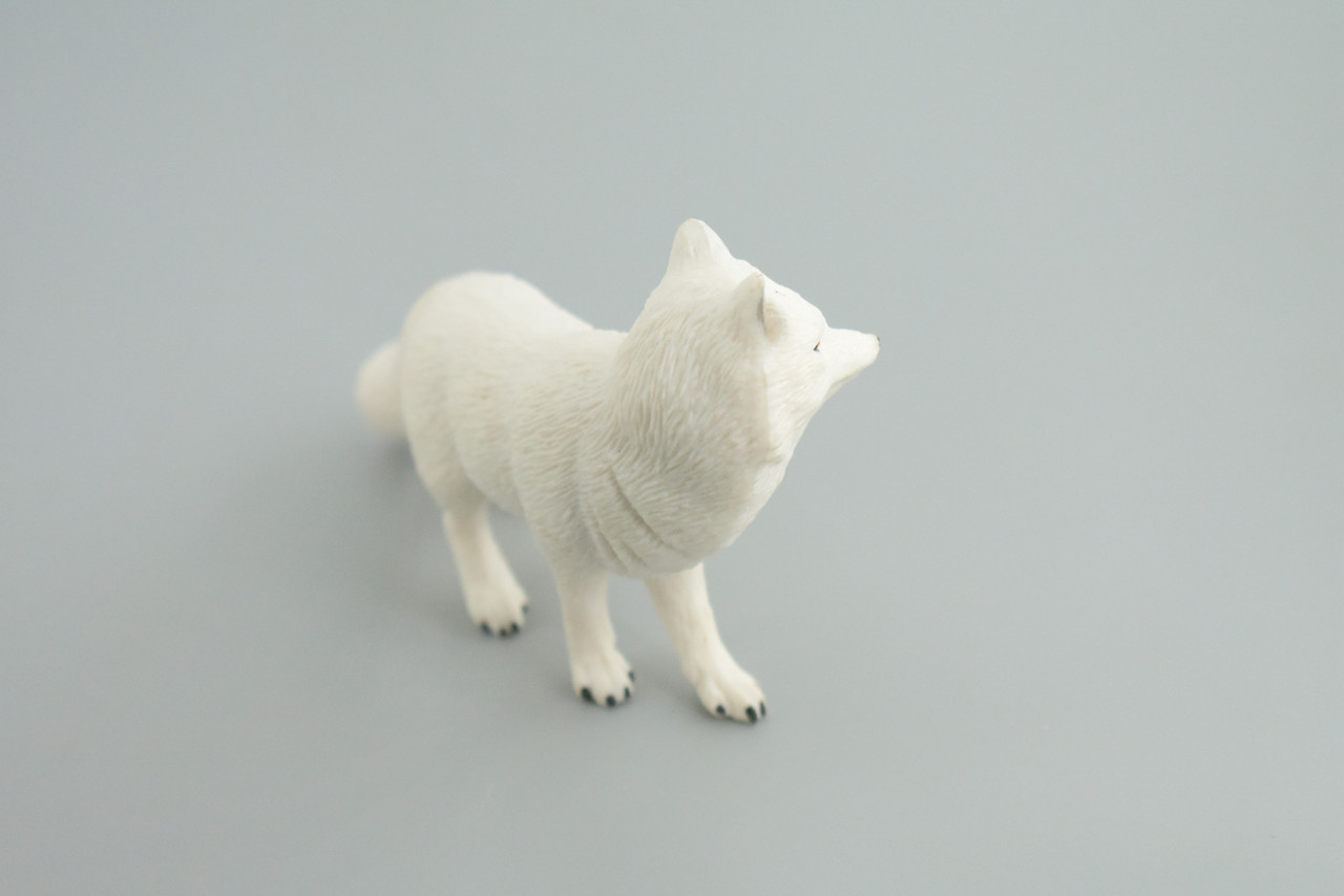 Arctic White Fox, Snow Fox, Hand Painted, Museum Quality, Educational, Rubber Animal, Very Realistic Fox, Diorama, Toy, Kids, Gift,   5 Inches.  CH855 BB198  