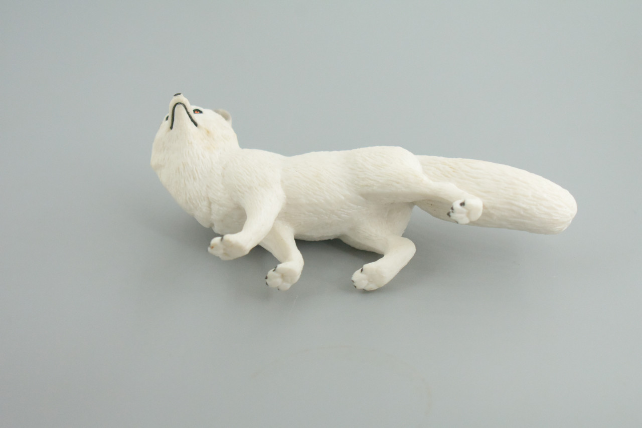 Arctic White Fox, Snow Fox, Hand Painted, Museum Quality, Educational, Rubber Animal, Very Realistic Fox, Diorama, Toy, Kids, Gift,   5 Inches.  CH855 BB198  