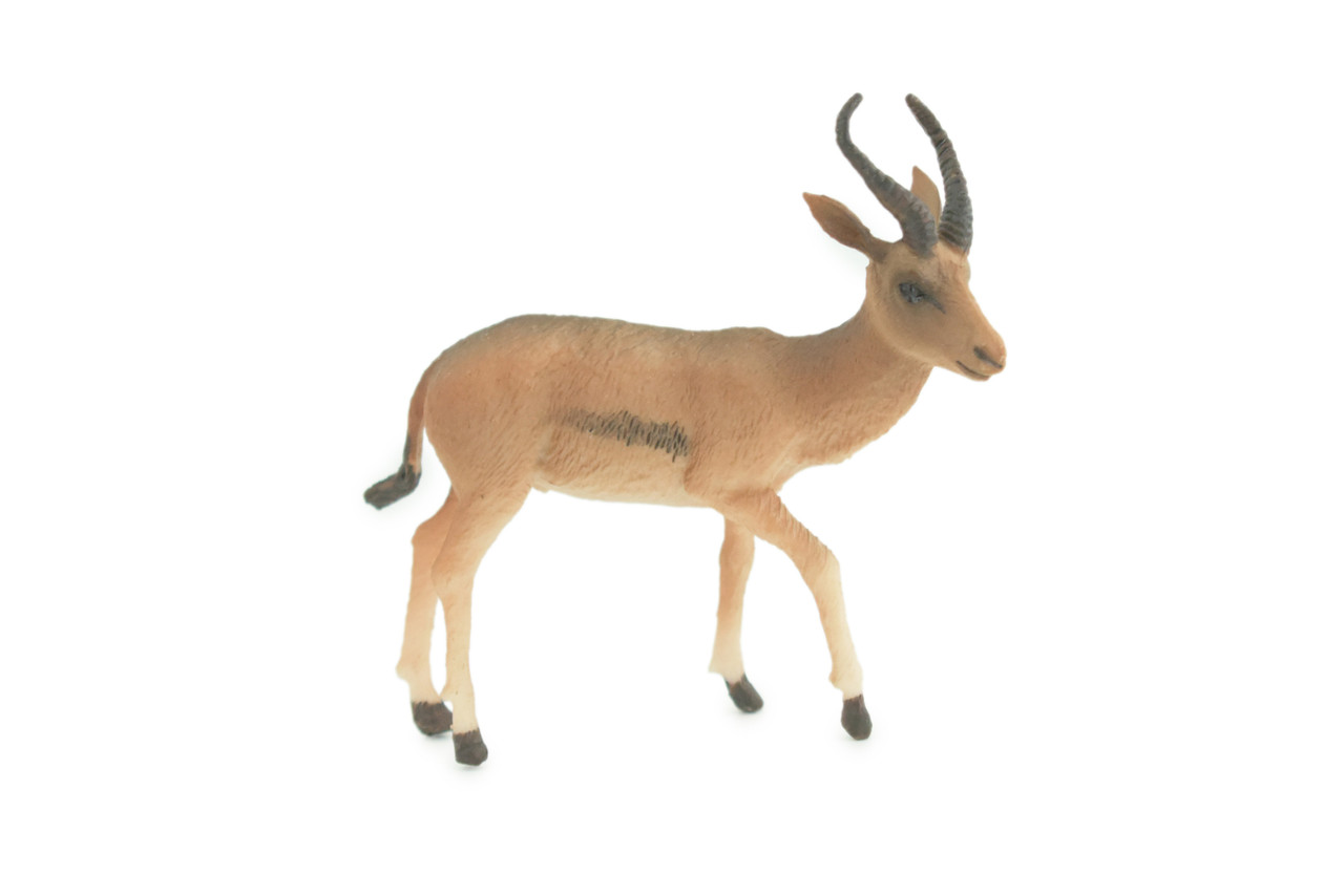 Gazelle Antelope, Hand Painted, Museum Quality, Educational, Rubber Animal, Very Realistic, Diorama, Toy, Kids, Gift, 3 1/2 Inches. CH857 BB198