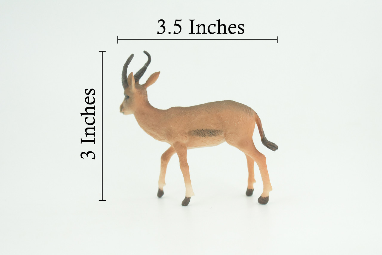Gazelle Antelope, Hand Painted, Museum Quality, Educational, Rubber Animal, Very Realistic, Diorama, Toy, Kids, Gift, 3 1/2 Inches. CH857 BB198