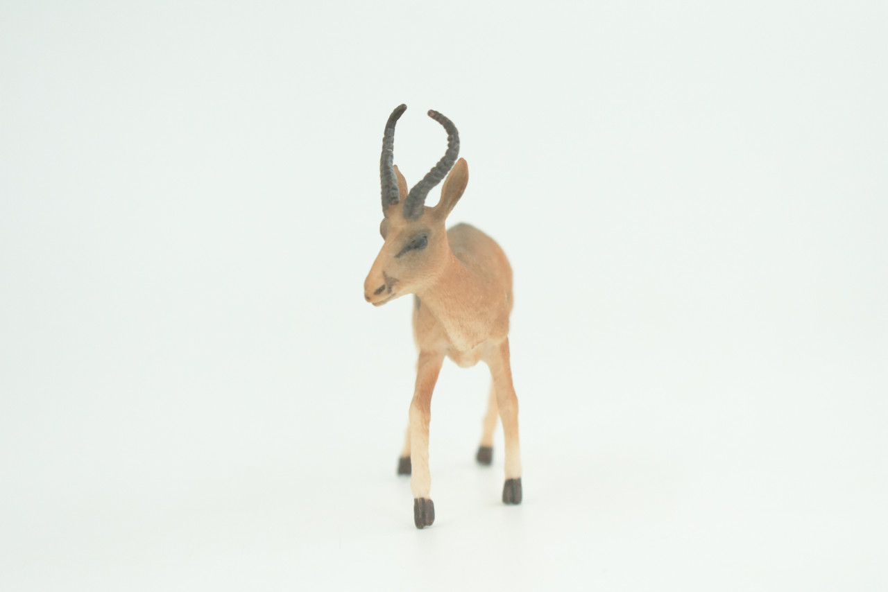 Gazelle Antelope, Hand Painted, Museum Quality, Educational, Rubber Animal, Very Realistic, Diorama, Toy, Kids, Gift,   3 1/2 Inches.  CH857 BB198  