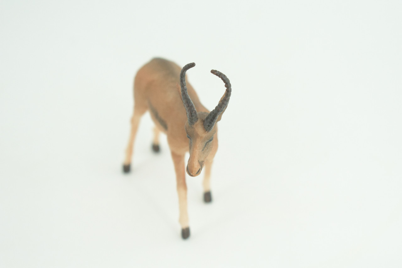 Gazelle Antelope, Hand Painted, Museum Quality, Educational, Rubber Animal, Very Realistic, Diorama, Toy, Kids, Gift,   3 1/2 Inches.  CH857 BB198  